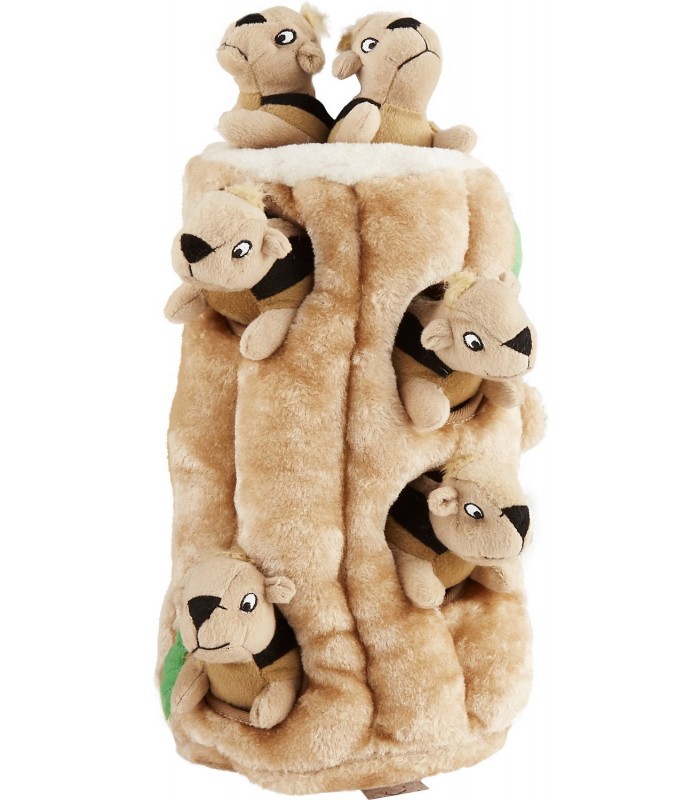 paw hide dog toy puzzle