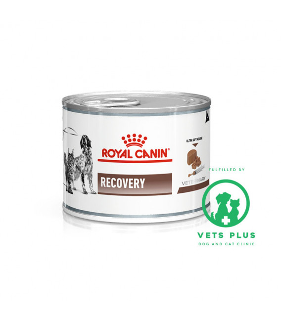 Royal Canin Veterinary Diet RECOVERY 195g Dog & Cat Wet Food - Pet ...
