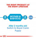 Royal Canin Size Health Nutrition Starter Mousse Mother & Babydog 195g Dog  Wet Food - Pet Warehouse
